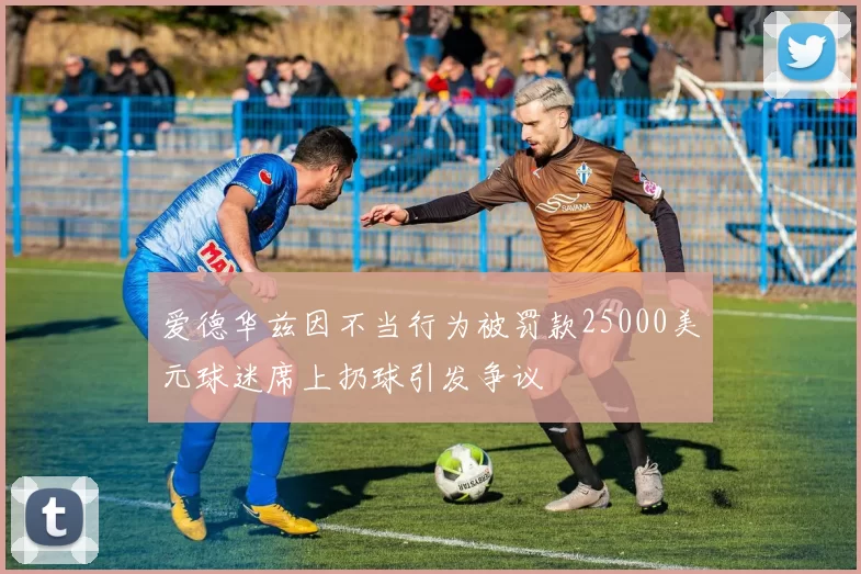 爱德华兹因不当行为被罚款25000美元球迷席上扔球引发争议