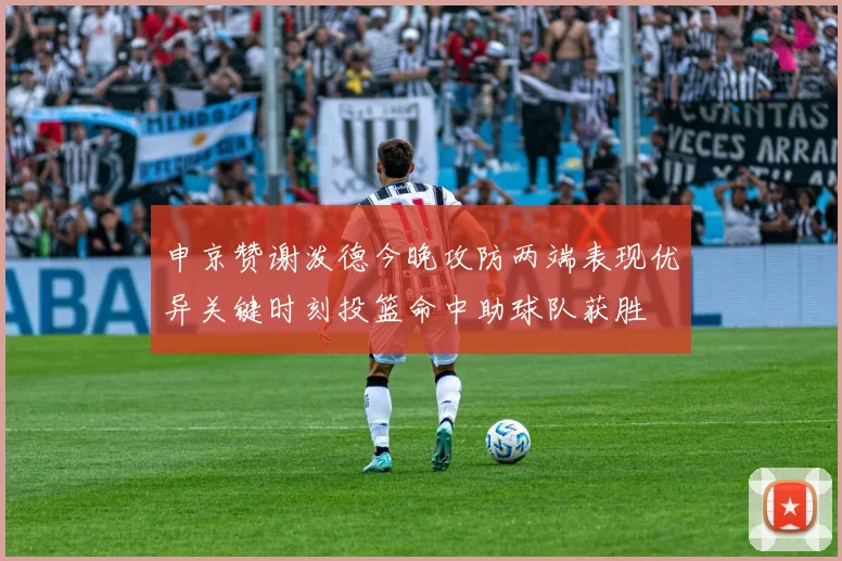 申京赞谢泼德今晚攻防两端表现优异关键时刻投篮命中助球队获胜
